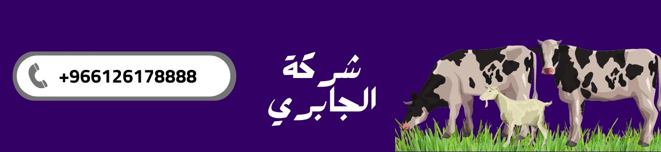 شركة الجابري