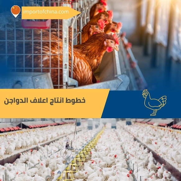 تصنيع أعلاف الدواجن خطوط انتاج الاعلاف