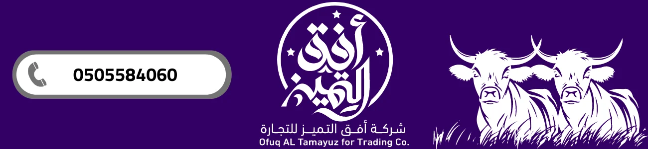 شركة أفق التميز