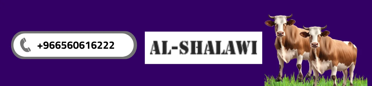 شركة الشلوي