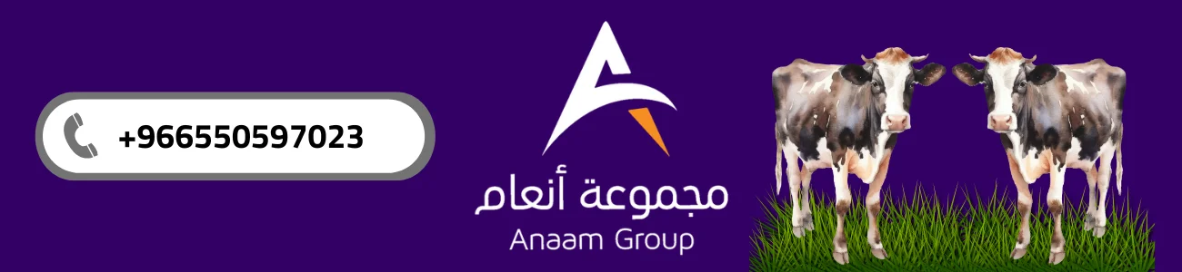 شركة مجموعة أنعام