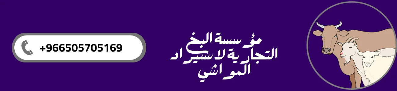 مؤسسة البخ التجارية لاستيراد المواشي