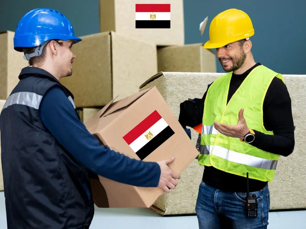 استراتيجية الجمارك المصرية