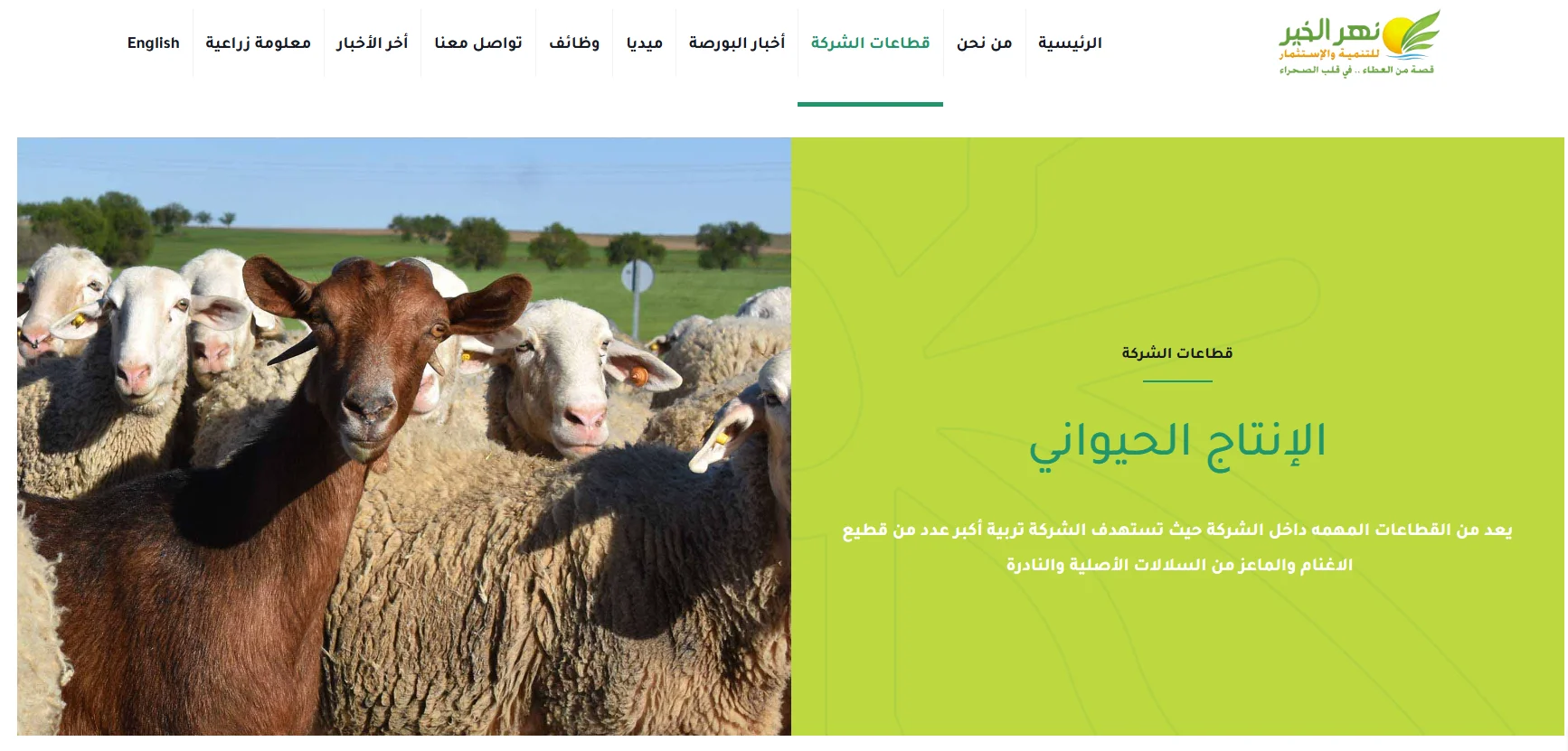 شركة نهر الخير شركة نهر الخير