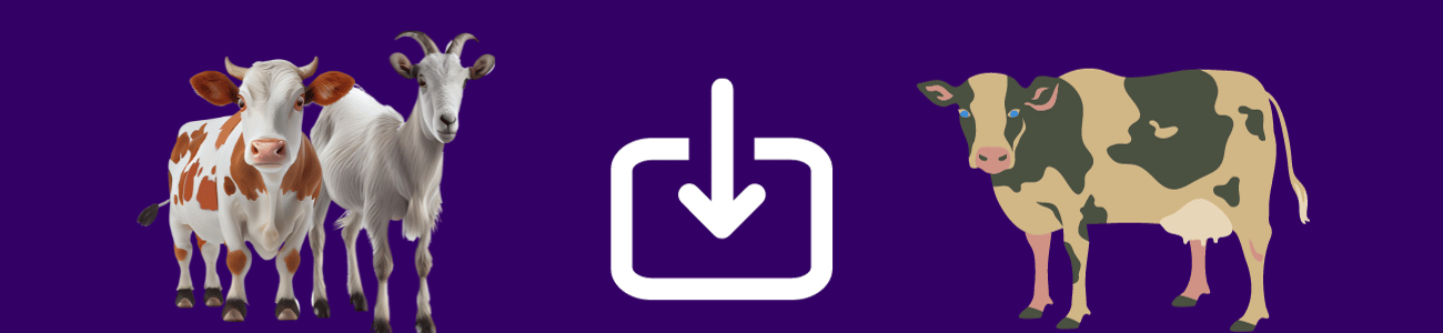 شروط استيراد المواشي من السودان شروط استيراد المواشي من السودان