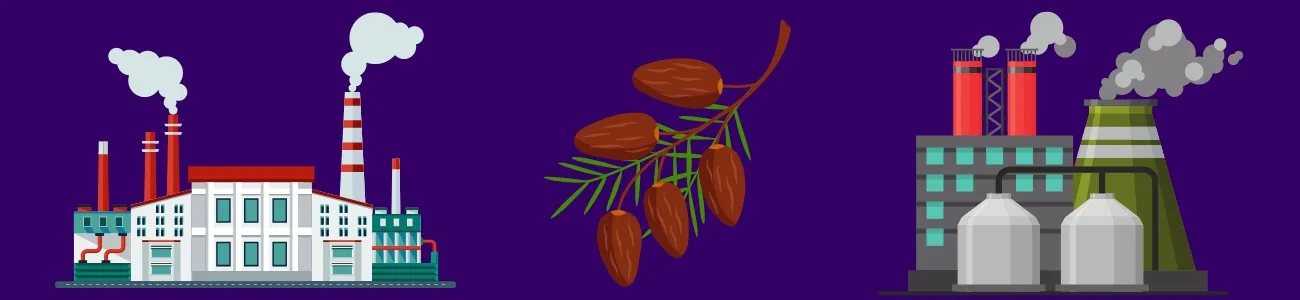 قائمة بأفضل شركات تصدير التمور في السعودية