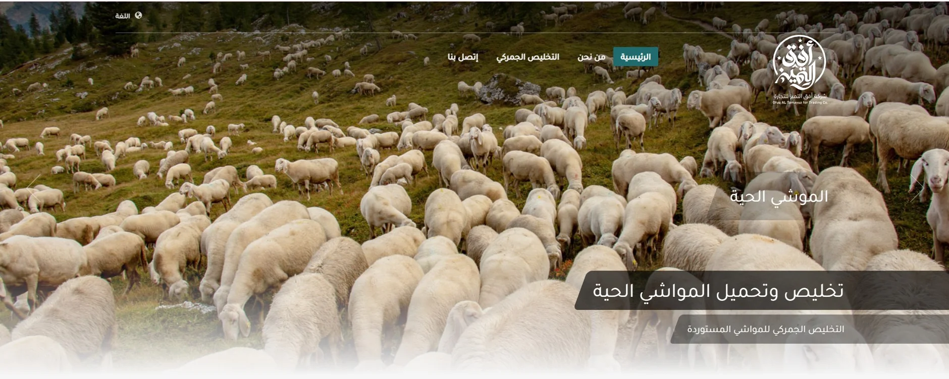 شركة افق التميز لاستيراد المواشي والأغنام في السعودية شركة افق التميز لاستيراد المواشي والأغنام في السعودية