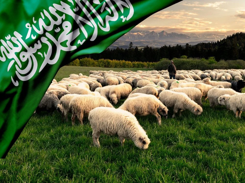 الشروط القانونية لمشروع تجارة الاغنام في السعودية الشروط القانونية لمشروع تجارة الاغنام في السعودية