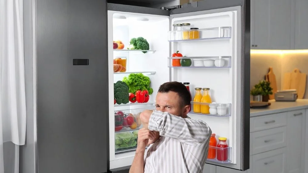 مشكلة وجود روائح كريهة داخل الثلاجة 