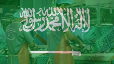 ارقام مصانع جدة